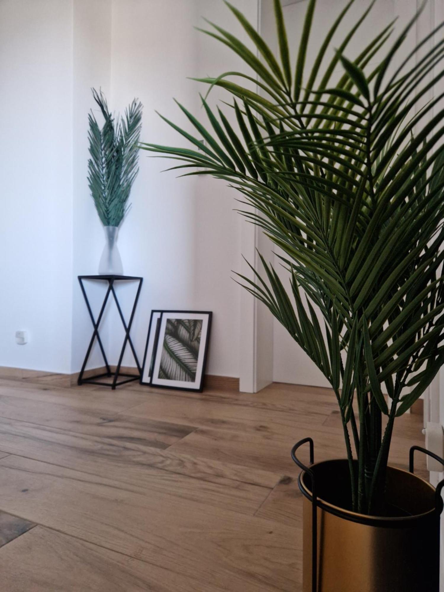 Apartment Luka Privlaka  Ngoại thất bức ảnh